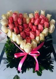 Rosa rosen lokalisiert auf weißem hintergrund. Die 92 Besten Ideen Zu Rote Rosen Mit Weissen Rosen Red Roses With White Roses In 2021 Rote Rosen Rosen Blumen