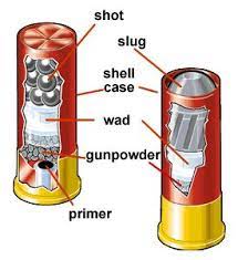 If you want to see the difference between birdshot, buckshot and slugs, watch this video. Pin On Informative