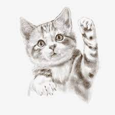 Gambar Lukisan Garis Kucing Kucing Comel Hiasan Kucing Kucing Comel Kucing Kucing Lukisan Garis Kucing Comel Png Dan Psd Untuk Muat Turun Percuma Kucing Lukisan Lukisan Cat Air