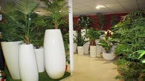 100 % nuevo y de alta calidad, el decorar su hogar u oficina con plantas artificiales es casi una necesidad. Mayoristas De Plantas Artificiales Montajes Cid Valencia