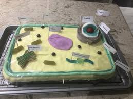 A few years back, my son had to make a 3d plant cell for science class. How To Make 100 Edible Cake Based Candy Plant Cell 6 Steps Instructables