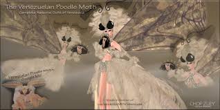 The species was only recently identified, in 2009, but there are actually quite a few rather closely related moth species that look just as interesting/strange. Second Life Marketplace Mvw Venezuelan Poodle Moth Complete Gown Ensemble By Chop Zuey Couture Jewellery