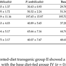 Júlio magalhães e pedro abrunhosa percorrem a rua de santa catarina do porto e conhecem artistas de rua. Margarida M S M Bastos S Research Works University Of Porto Porto Up And Other Places