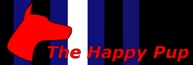 Puppy play and stay is providing a complete care for your dog: Gpup S Puppy Play Pup Play Gear Guide The Happy Pup