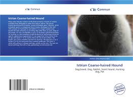 Istrian shorthaired hounds are not recommended for apartment life. Istrian Coarse Haired Hound 978 613 3 99300 6 6133993006 9786133993006