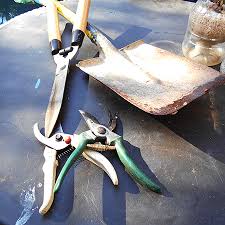 Jun 04, 2021 · articles, coding challenges, and other critical tidbits to help you sharpen your wits. Home Dzine Garden Ideas Clean And Sharpen Your Garden Tools