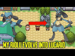I know that riolu needs to be great friends with it's trainer to evolve. My Riolu Evolve Into Lucario How To Evolve Riolu In Pokemon Glazed Youtube