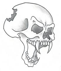 Easy Drawings Of Skulls Making The Web Com Skulls Drawing Simple Skull Drawing Cartoon Drawings