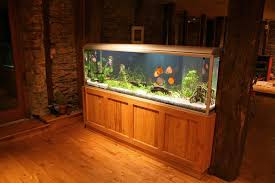 55 Gallon Fish Tank Guide Best Fish Setup Ideas Equipment And More In 2020 Fresh Water Fish Tank 75 Gallon Aquarium Fish Tank
