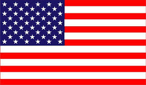 United States Flag The Craft Chop In 2020 United States Flag Flag State Flags