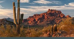 City Of Mesa Things We Love Dr Spencer G Wilson