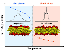 Solved The Fluidity Of A Cell'S Membrane Is Essential To | Chegg.Com