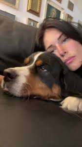 C’était notre exercice annuel de situation de crise 🤣🐶❤️🤫  #bouvierbernois #doglover #dogmom