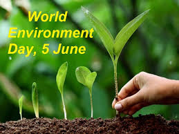 Centre launches programme to increase forest cover in urban areas. World Environment Day 2020 Current Theme History Significance