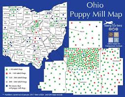 The dogs in these amish mills are treated like livestock. Newfoundland Buyer Be Aware Here S How To Spot A Puppy Mill My Brown Newfies