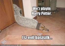 Each 2019 movie a dedicated page with plot, photos and trailers. Harry Potter Wiki Fandom Powered By Wikia Other Harry Potter Movies Prime Half Har Harry Potter Memes Hilarious Harry Potter Funny Harry Potter Memes