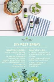 Step 4 coat the entire tree with your homemade oil spray. Non Toxic Natural Pest Spray Diy Everyday Essentials