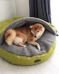 hooded bed for shiba inu warm dog beds dog clothes patterns shiba inu