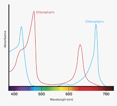 Do full spectrum lights help plants grow. Grow Light Spectrum Explained Ideal Led Spectrum For Plants
