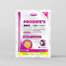 Prodife’s 8WG
