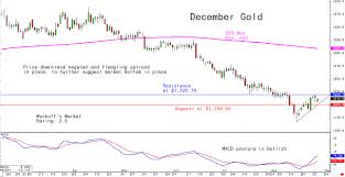 Wednesday Charts For Gold Silver And Platinum And Palladium
