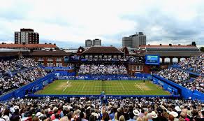 Queen S Draw Novak Djokovic And Andy Murray Learn Their Fate Tennis Sport Express Co Uk