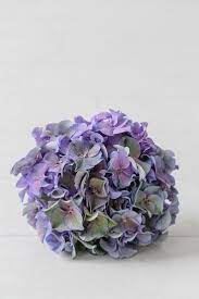 Flower Of The Month August Hydrangea Wedding Dresses Models Hydrangeas Wedding Hydrangeas Bridal Hydrangea Bridal Bouquet