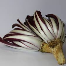 Un idea per cena deliziosa da casa mariola creata con il radicchio tardivo di treviso igp e pancetta arotolata. Insalata Trevisano Tardivo Il Fruttorto