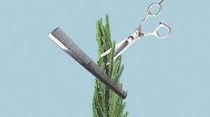 Using your fingers, apply the paste to the parts of your face with hair. Hairy Butt Causes Treatment And Hair Removal