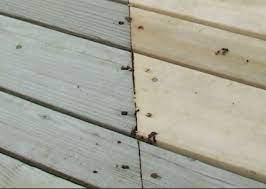 We did not find results for: How To Blend New And Old Deck Boards Best Deck Stain Reviews Ratings
