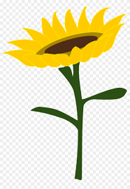 Harga bibit bunga matahari terkini. Halaman Download Gambar Animasi Bunga Matahari