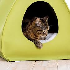 This is the newest place to search, delivering top results from across the web. Pet Store For Designer Dog Beds Cat Beds And Hand Made Pet Beds
