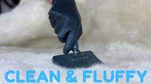 A rug in these sizes should be used as a focal point and can be placed in front of a sofa, within a seating area or under a bed. How To Clean Sheepskin Rug At Home How To Wash A Sheepskin Rug At Home Youtube