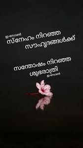 Pin By Eron On Good Night Malayalam In 2020 Good Night Quotes Good Night Dear Friend Night Quotes