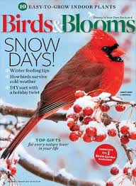 Birds Blooms Magazine Customer Service Subscribe To Birds Blooms Feeding Birds In Winter Birds How To Attract Birds