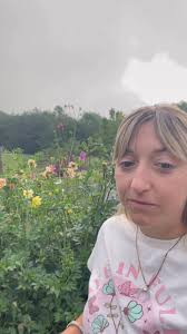 A beautiful morning in the garden showing off just how full she is