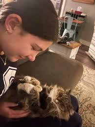 Denise Mcphillips's Instagram, Twitter & Facebook