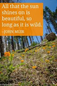 The Poetry Of John Muir Quotes On Nature Conservation Travel John Muir Quotes John Muir Nature Quotes