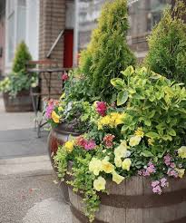 Browse our collection of lovely blue annual flowers for adding to garden beds, borders and containers with planting and growing tips from hgtv gardens. Subscription Planters Window Boxes For Your Home Or Business Enliven Planters