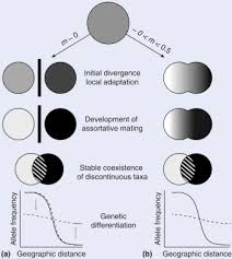 Gene Flow An Overview Sciencedirect Topics