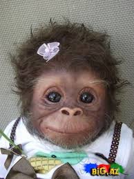 Картинки по запросу gulmeli sekiller