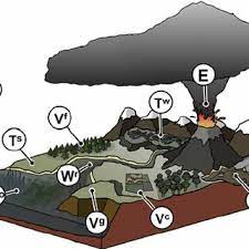 Pdf The Environmental Impacts Of Volcanic Ash Emission