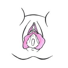 Rugged portable hard drives lacie uk. Kleine Schamlippen Plastische Chirurgie Schinner