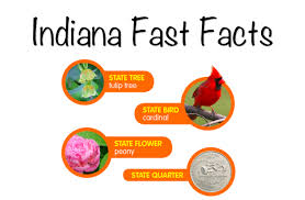 Copyright © 2021 infospace holdings, llc, a system1 company Indiana History Mrs Warner S Learning Community