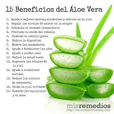 Aloe Vera Propiedades Beneficios Y Para Que Sirve Aloe Vera Skin Care Aloe Vera Aloe