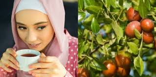 Cara minum air daun bidara. 16 Manfaat Daun Bidara Dan Maknanya Menurut Islam