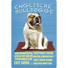 The goals and purposes of this breed standard the olde english bulldogge is a muscular, medium sized dog of great strength, and possessed of fluid. Schild Spruch Hund Englische Bulldogge Hingebunsvoll Freundlich 20 7 99
