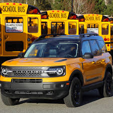 Image result for Bittersweet Glow 1981 Bronco