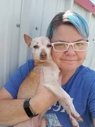 A charming golden retriever has captivated hearts with his hopeful gaze at  a fried chicken stand, captured in a delightful series of photos. Despite  health concerns about feeding dogs human food, his