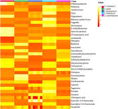 Image result for Zanthoxylum holtzianum